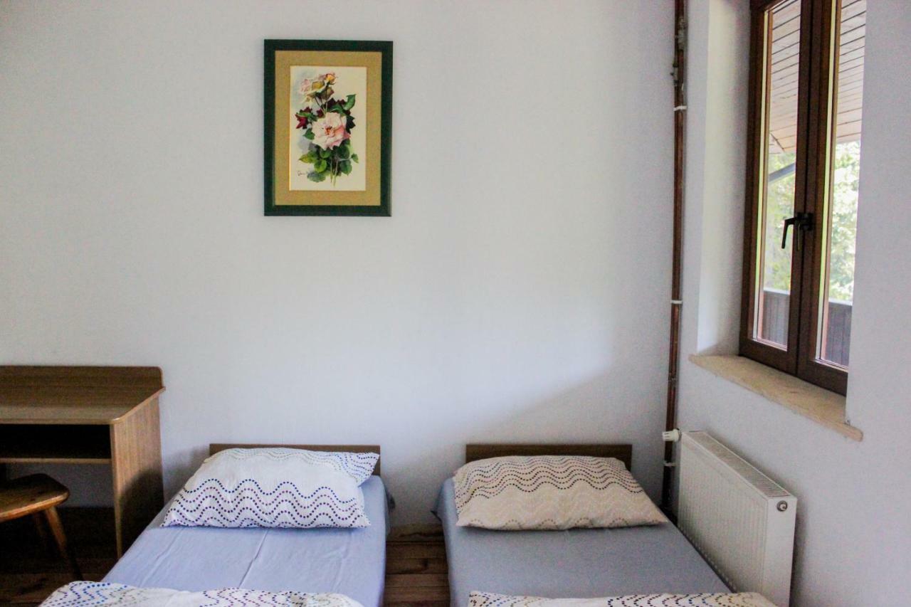 Lesna Willa Pttk W Komanczy Komańcza Dış mekan fotoğraf