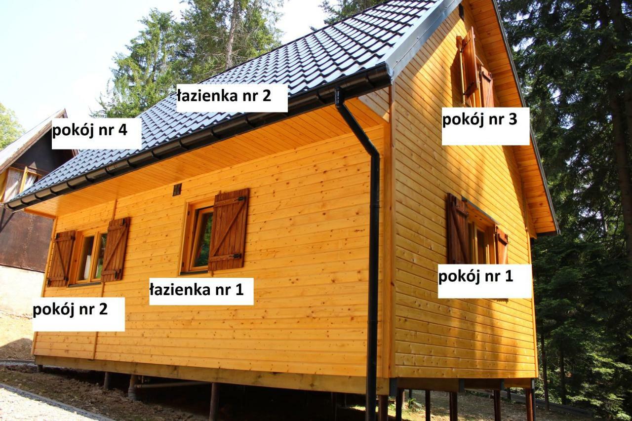 Lesna Willa Pttk W Komanczy Komańcza Dış mekan fotoğraf
